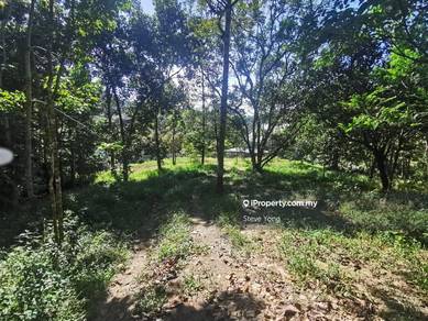 Agriculture land at Bukit Lagong for Sale