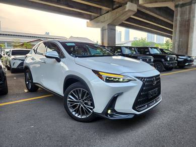 Lexus NX250 Luxury Full Spec (5A 23,000km)