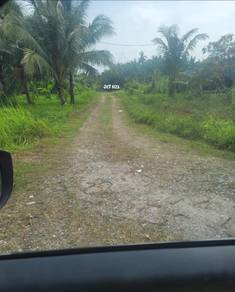 Kampung Telok Gong Mukim Klang Agriculture Land