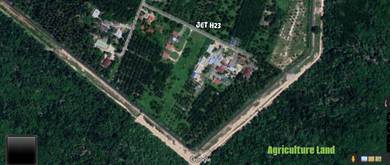 Kampung Telok Gong Mukim Klang Agriculture Land