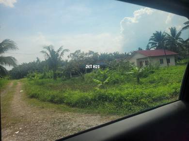 Kampung Telok Gong Mukim Klang Agriculture Land