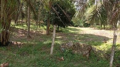 TANAH CANTIK TEPI JALAN 5.1ek di Bukit Kunyit, Rembau, Negeri Sembilan