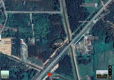 Agricultural-Land-for-rent-Port-Dickson-Negeri-Sembilan