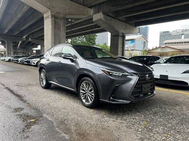 Lexus NX250 2.5 LUXURY Mark Levinson Nappa 5A