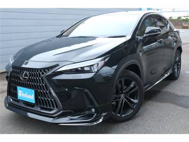 Lexus NX 250 2.5 LUXURY (A)