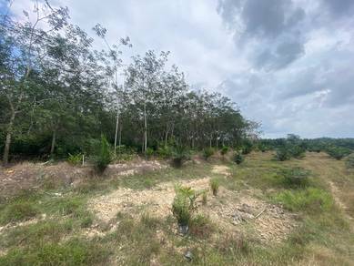 Tanah sawit freehold muar river segamat johor