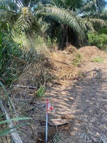 Tanah sawit bangas segamat johor