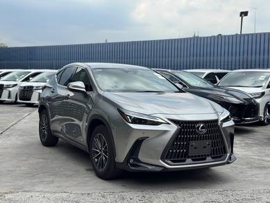 Lexus NX 250 2.5 BASE - Sonic Titanium(A)