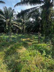 Agricultural-Land-for-sale-Lendu-Melaka