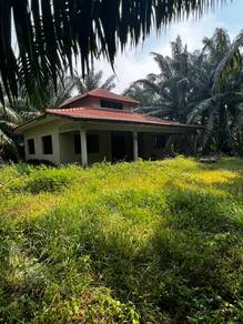 Agricultural-Land-for-sale-Lendu-Melaka-3