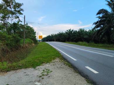 (Tepi Jalan) Zoning Komersial, Pekan Nenas