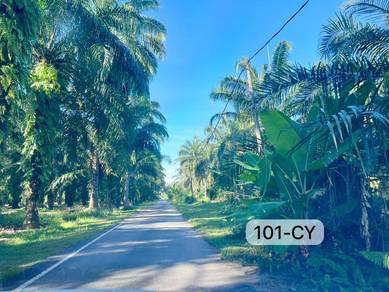 Fully Road Access 5 Acres Agricultural Land Telok Panglima Garang