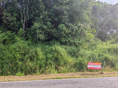 Main Roadside Land For Sale!  Located at Jambusan, Siniawan