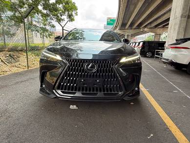 Lexus NX250 2.5 LUXURY P/Roof H/U Dis 360 P/S