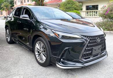 Lexus NX250 version L fullspec 5A