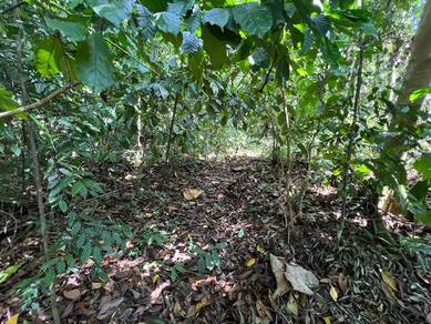 Agricultural-Land-for-sale-Lenggong-Perak