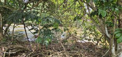 6.627 acres Vacant land at Gopeng, Perak