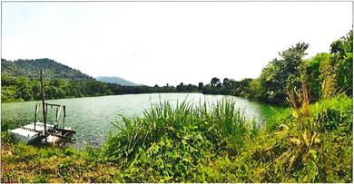 Agricultural-Land-for-rent-Chenderiang-Perak