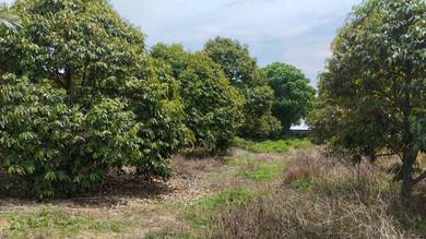 Land For Sell , Simpang Pertang , Negeri Sembilan , Beside Main Road
