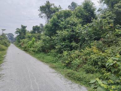 GOOD BUY FREEHOLD NON BUMI 😊1.97ac KPG PAK DOLAH KMTG TOLL