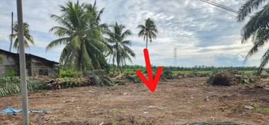 Agricultural-Land-for-sale-Bagan-Serai-Perak