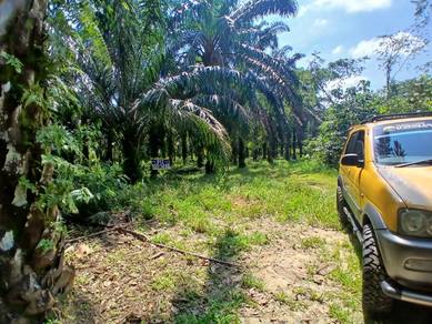 Tanah Freehold 4 ekar utk dilepaskan 60k per ekar