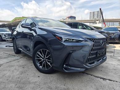 Lexus NX 250 2.5 Base 5A HUD BlackLeather P/B