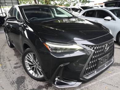Lexus NX 250 2.5 LUXURY (11k Milleage 5A)