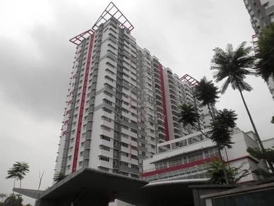 Koi Kinrara