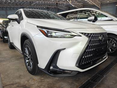 Lexus NX 250 2.5 6A 4Cam Red Leather P/Boot