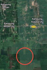Agriculture land at Asajaya For Sale!