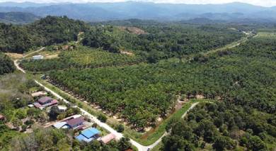 Nyaris-nyaris / Sealed Road / 28.9 acres / 999-years / Bongawan /Papar