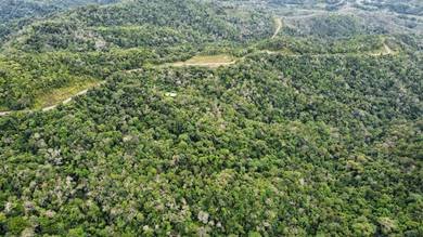 Agricultural-Land-for-sale-Kota-Kinabalu-Sabah