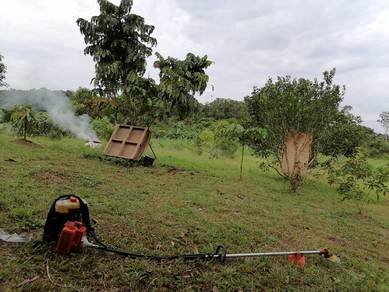 Batu Kawa Moyan Sungai Tengah Fruit Land for SALE