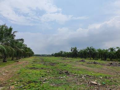 Agricultural-Land-for-rent-Klang-Selangor