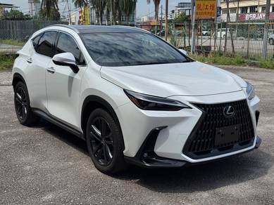Lexus NX 250 2.5 VERSION L (A) P/Roof, Grade6