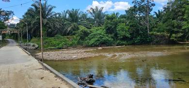 Agricultural-Land-for-sale-Setiu-Terengganu-1