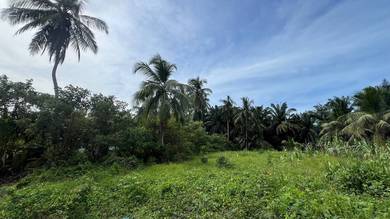 Agricultural-Land-for-sale-Klang-Selangor