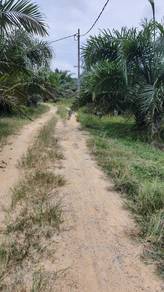 Agricultural-Land-for-sale-Kuala-Pilah-Negeri-Sembilan