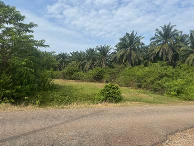 Tanah Di lahar batu Pendang