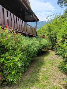 Agricultural-Land-for-sale-Bentong-Pahang