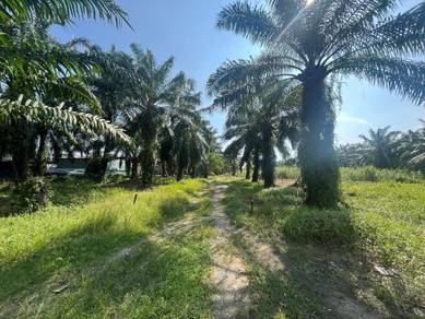 Telok Panglima Garang 2.28 Acres Zonning Industrial Land For Sale