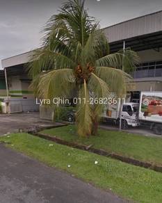 Demak laut Semi-D warehouse with coldroom for rent‼️