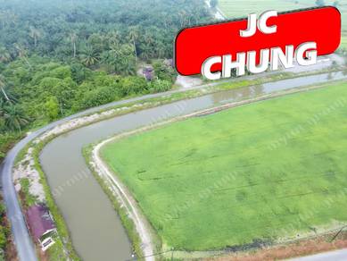 Agricultural-Land-for-sale-Kerian-Perak