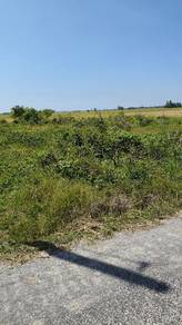 Agricultural-Land-for-sale-Yan-Kedah
