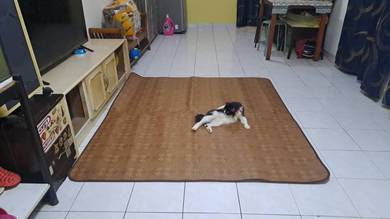Others-for-sale-Damansara-Utama-Selangor