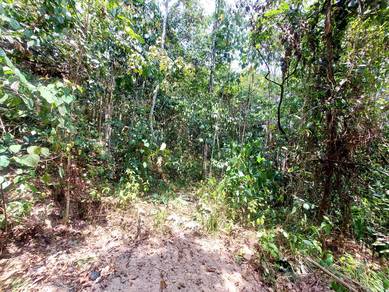 Agriculture Land Ulu Klawang Jelebu Negeri Sembilan 4 ACRE