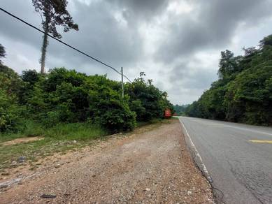 Tepi Jalan Utama KL-Kuantan Maran, Pahang