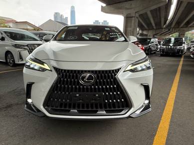 Lexus NX250 2.5 LUXURY S/Roof H/U Dis 360 PS