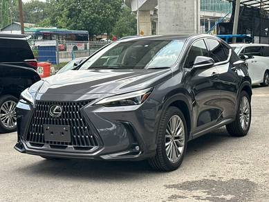UNREG 2023 LEXUS NX250 2.5 VERSION L 360CAM HUD Na